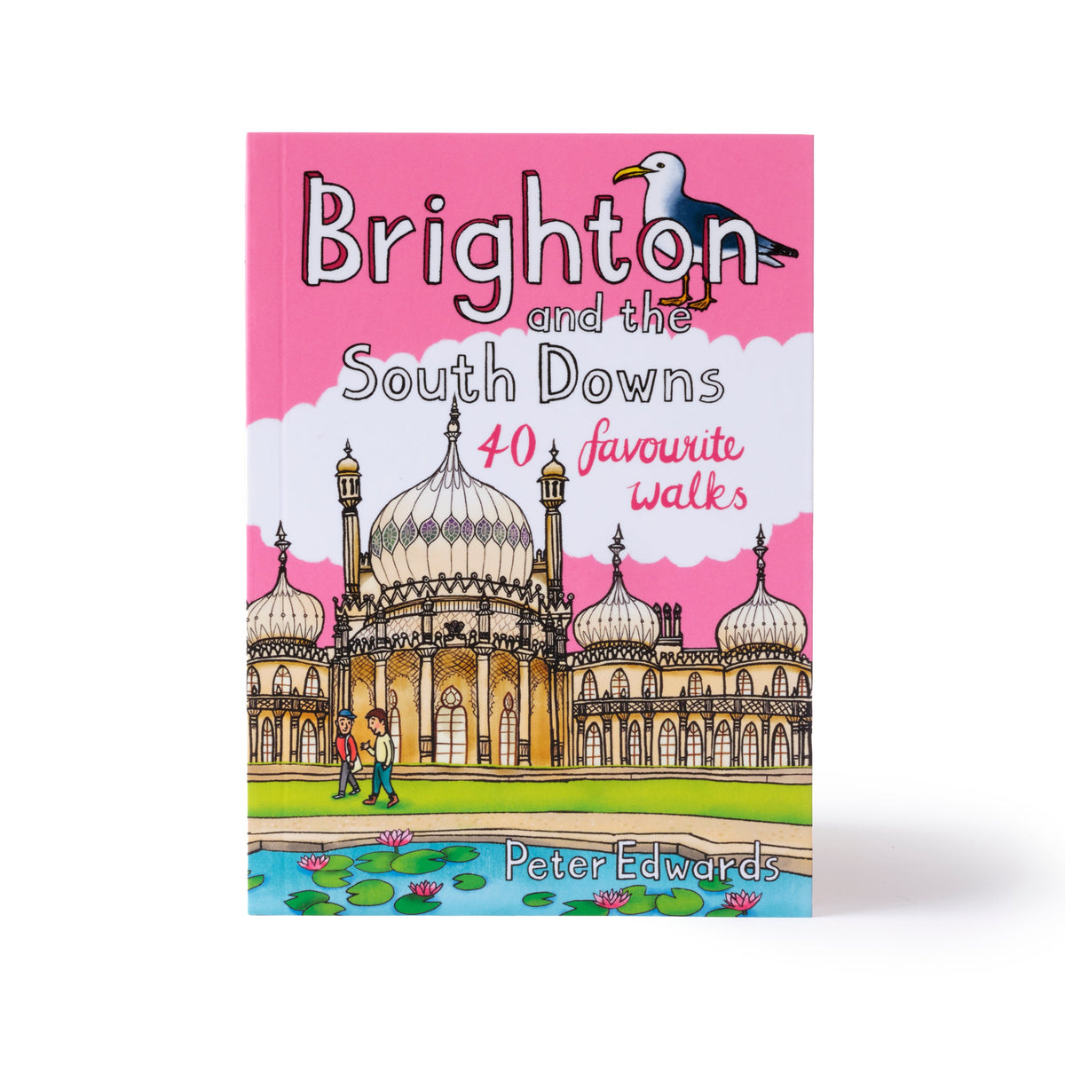 Brighton and the South Downs