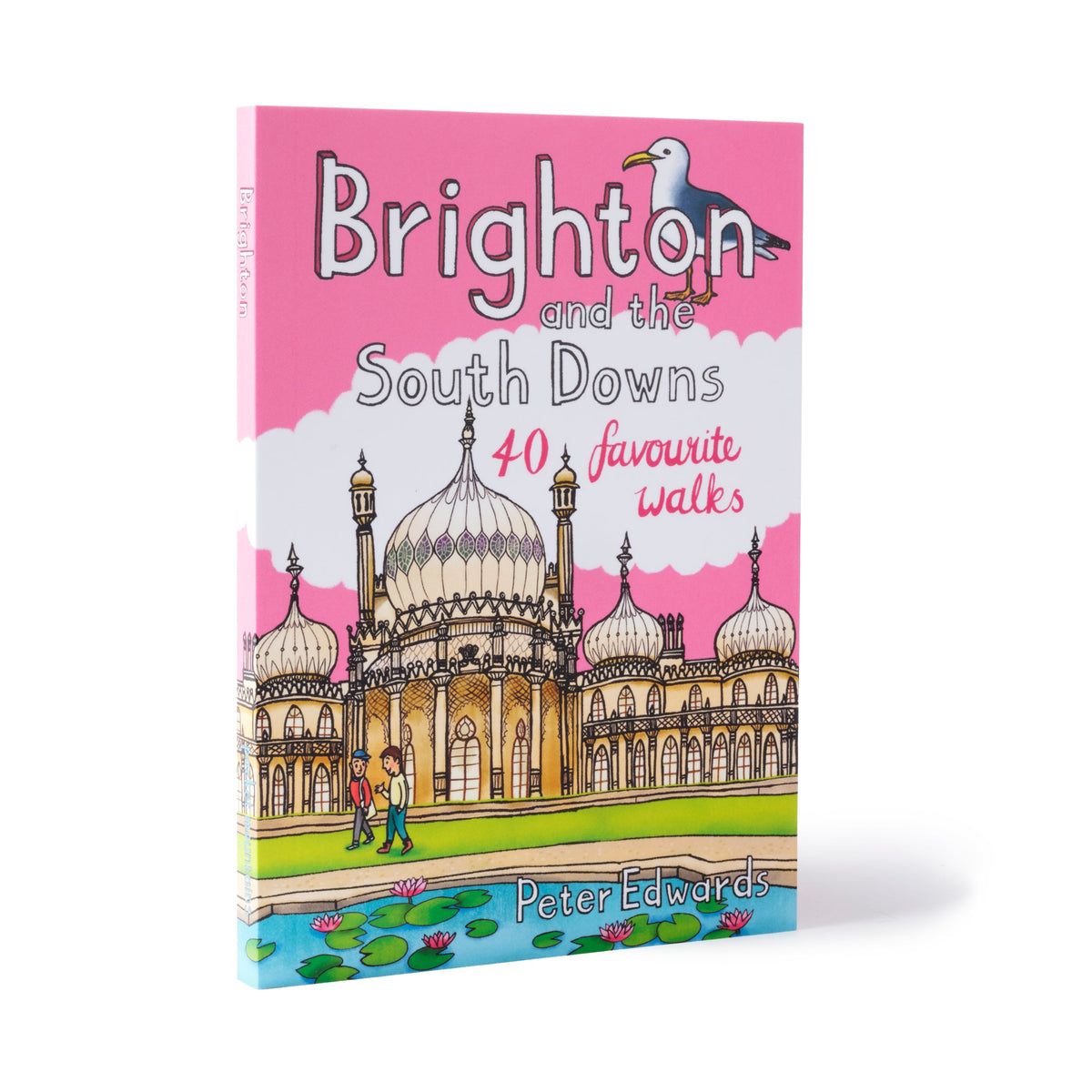 Brighton and the South Downs