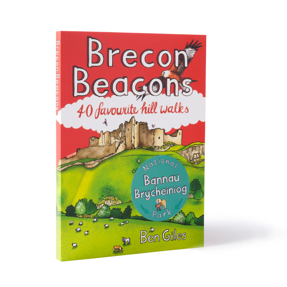 Brecon Beacons